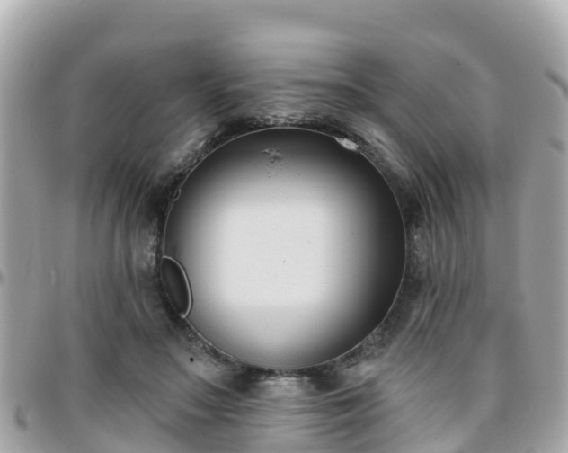 X0000096210499200801251037