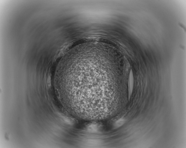 X0000096210504200801251037