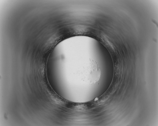 X0000096210505200801251037