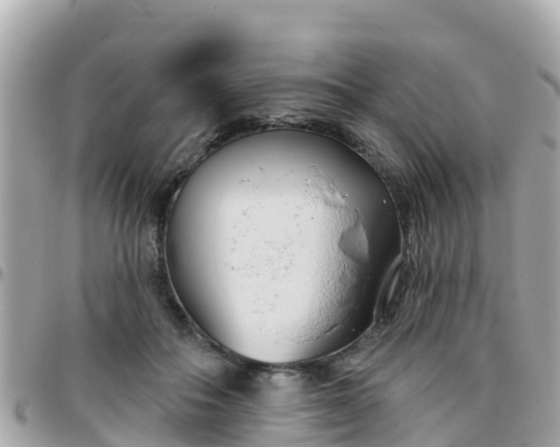 X0000096210506200801251037