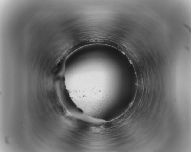 X0000096210508200801251037