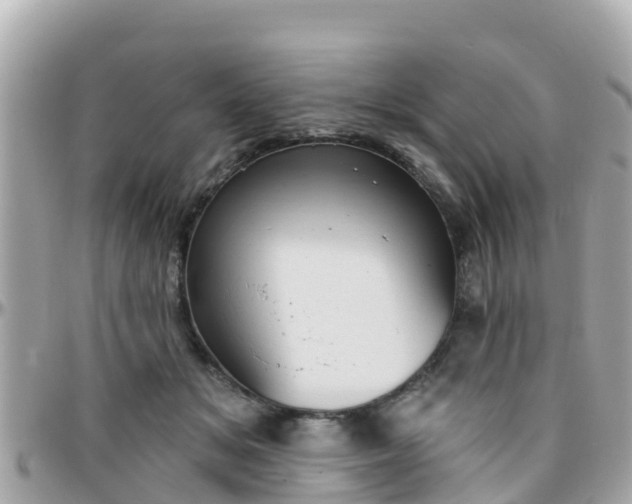 X0000096210509200801251037