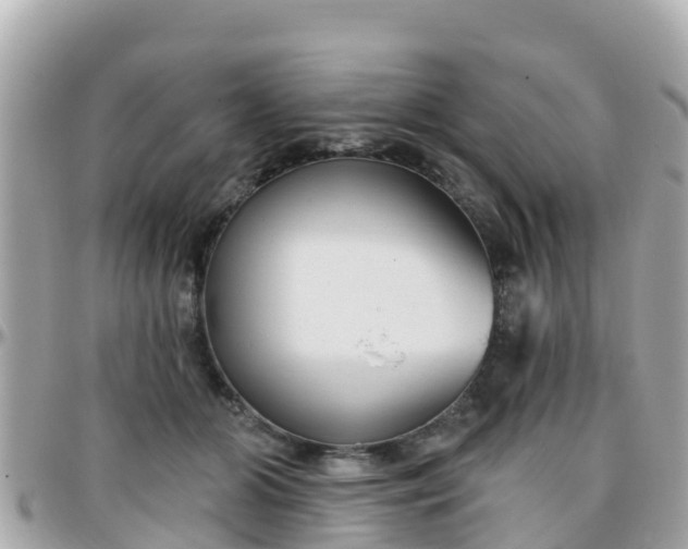 X0000096210510200801251037