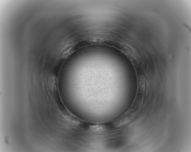 X0000096210511200801251037