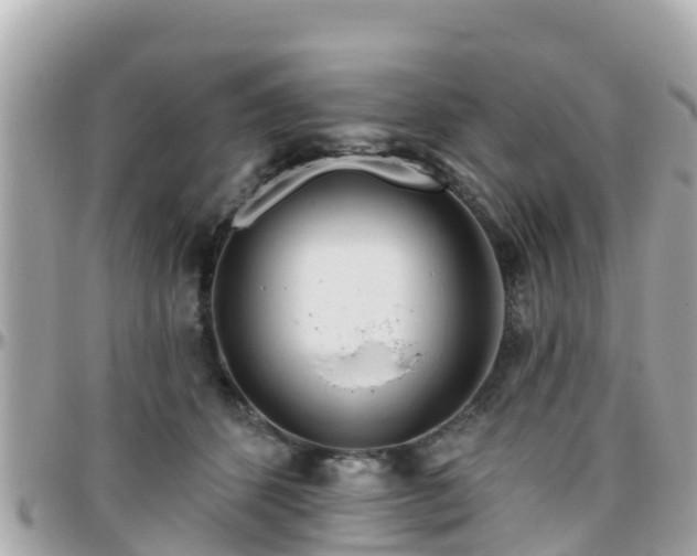 X0000096210512200801251037