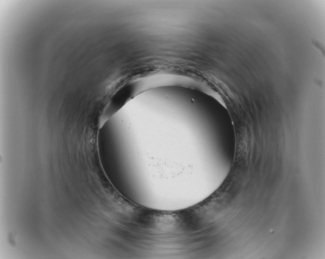 X0000096210513200801251037