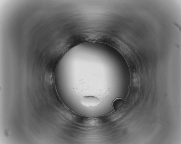 X0000096210514200801251037