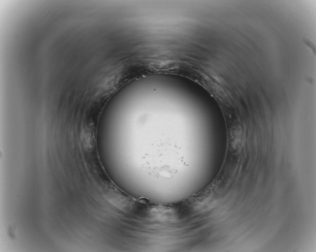 X0000096210515200801251037