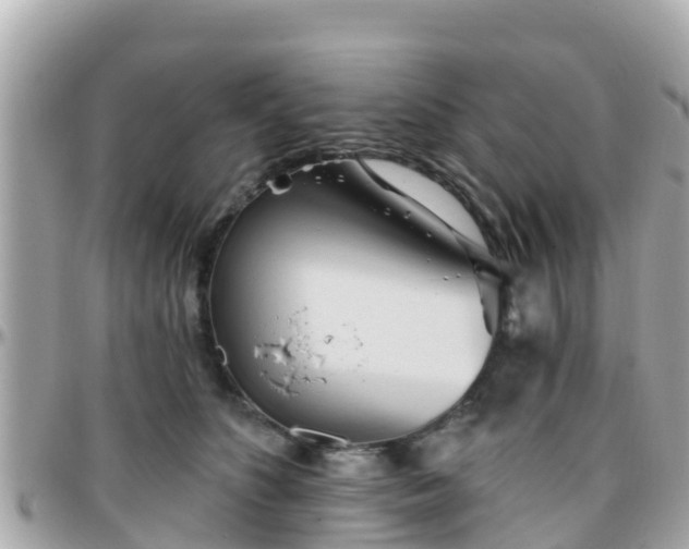 X0000096210516200801251037