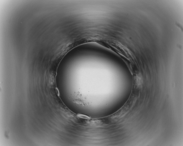 X0000096210517200801251037