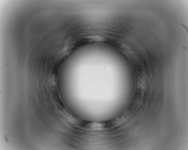 X0000096210518200801251037