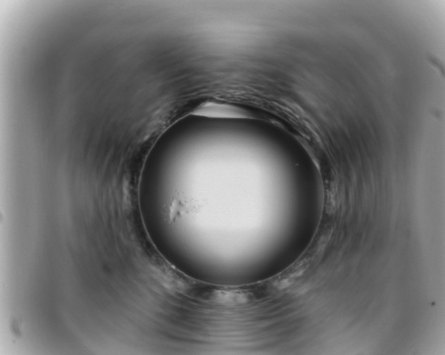 X0000096210520200801251037