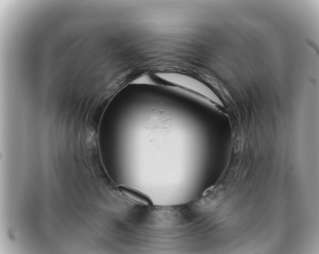 X0000096210521200801251037