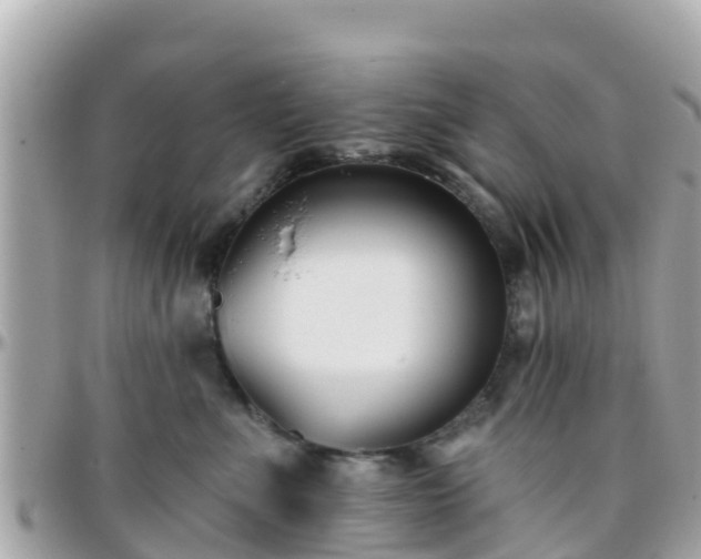 X0000096210523200801251037