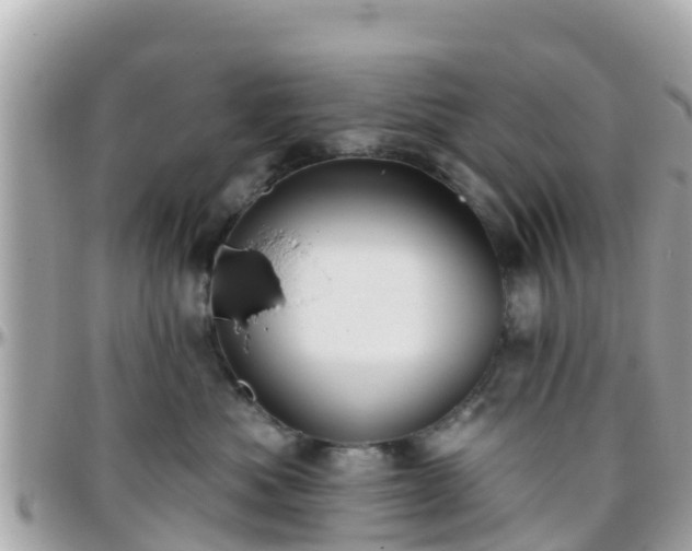 X0000096210525200801251037