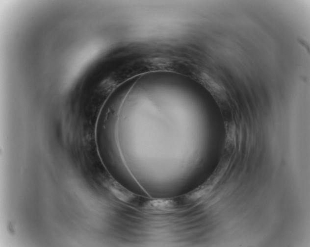 X0000096210526200801251037