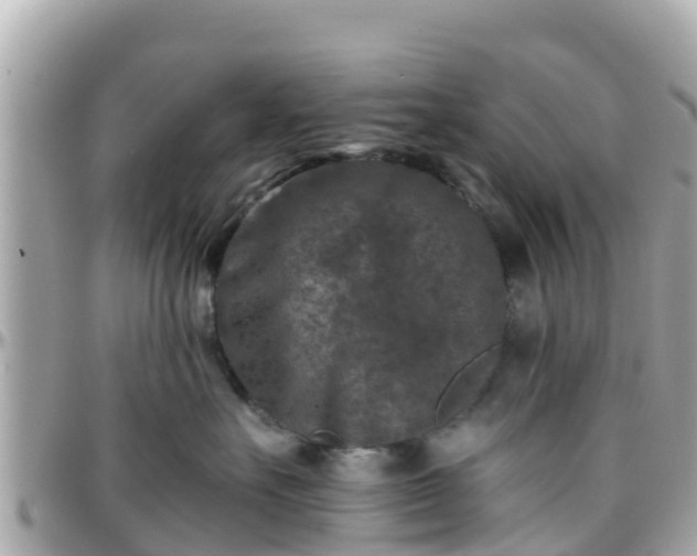 X0000096210527200801251037