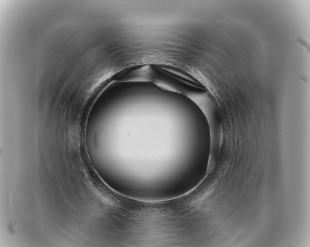 X0000096210530200801251036