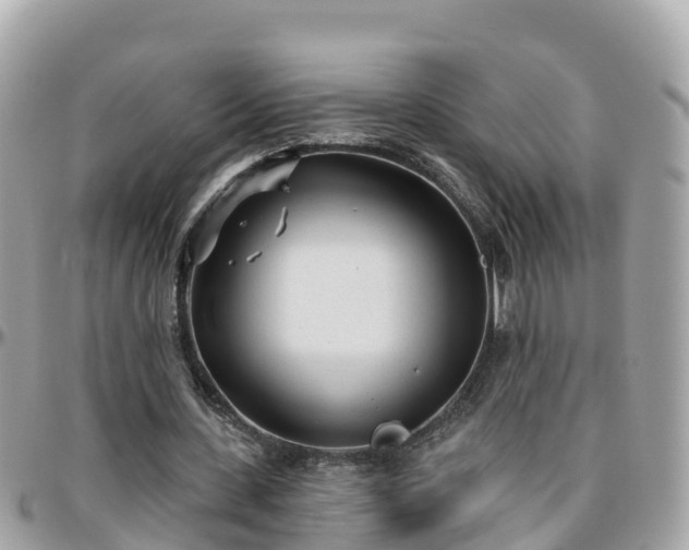 X0000096210531200801251036