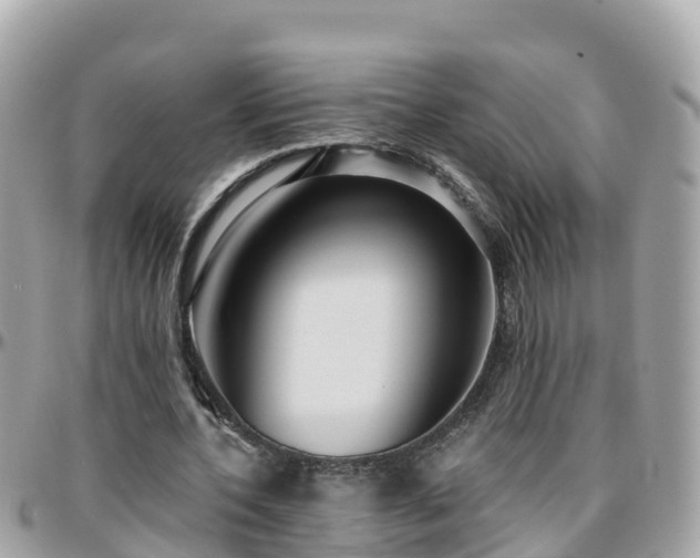 X0000096210532200801251036