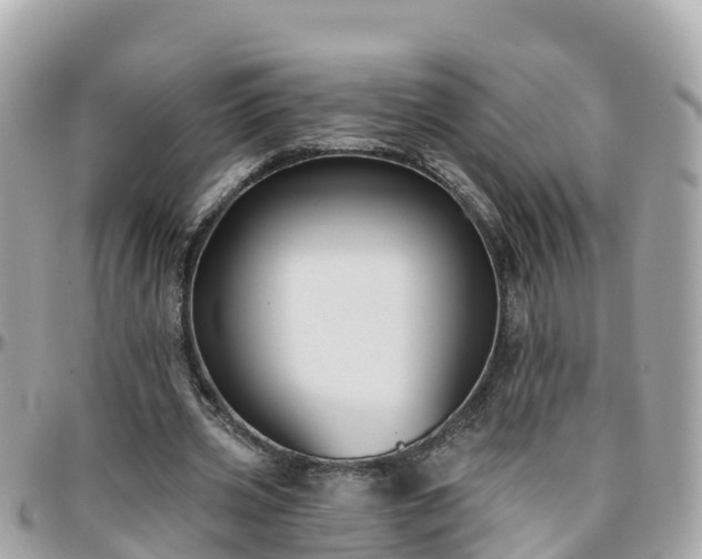 X0000096210533200801251036