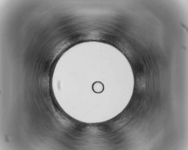 X0000096210534200801251036