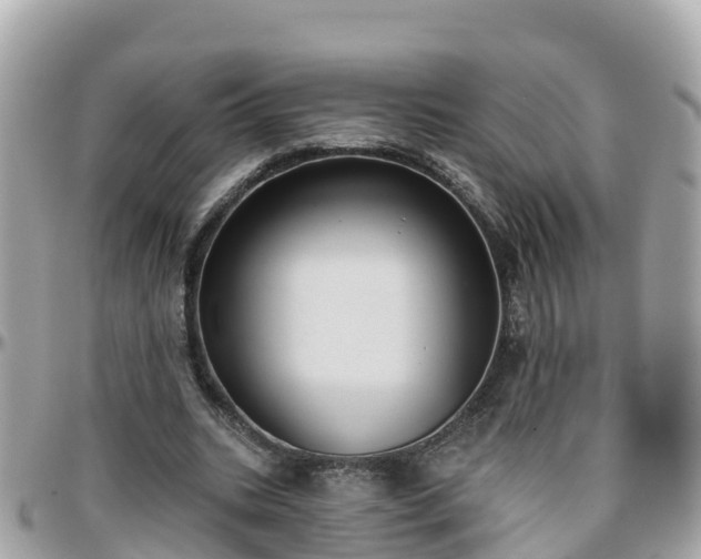 X0000096210535200801251036