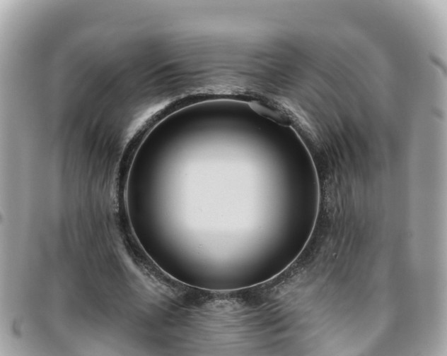 X0000096210536200801251037