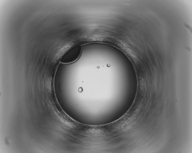 X0000096210537200801251037