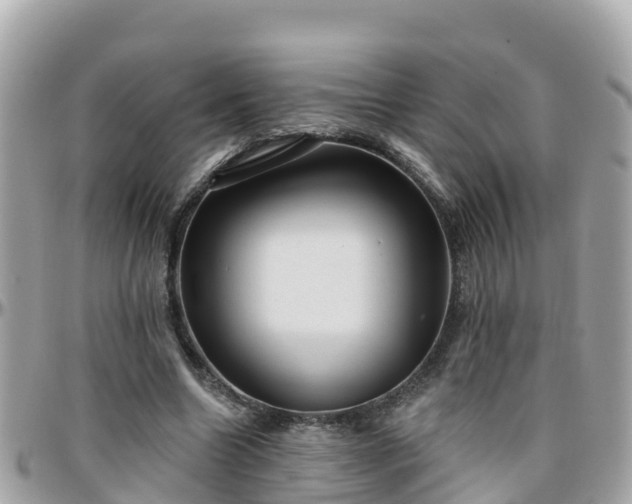 X0000096210538200801251037