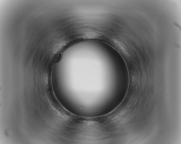 X0000096210539200801251037