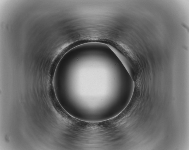 X0000096210540200801251037