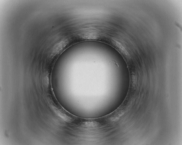 X0000096210541200801251037