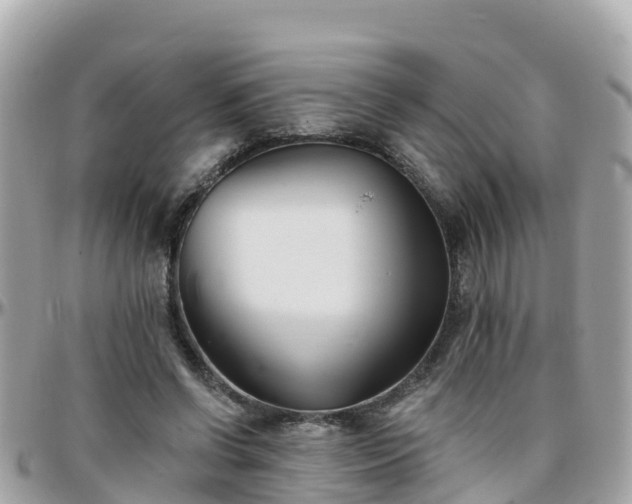 X0000096210542200801251037