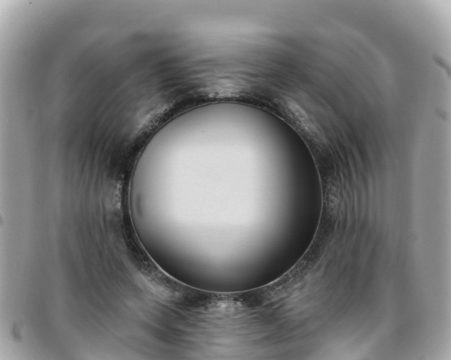 X0000096210543200801251037