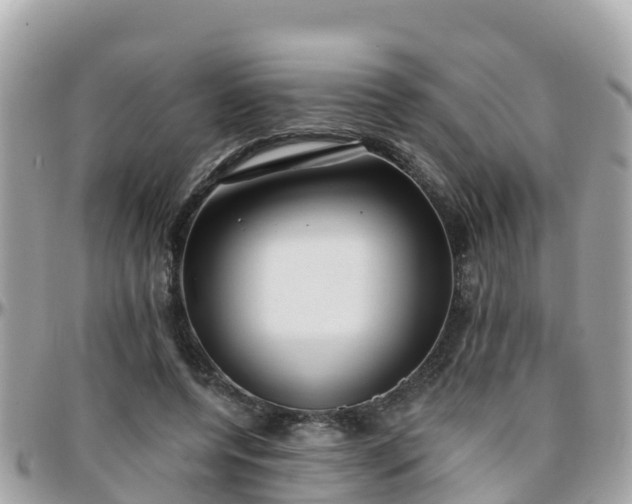 X0000096210544200801251037