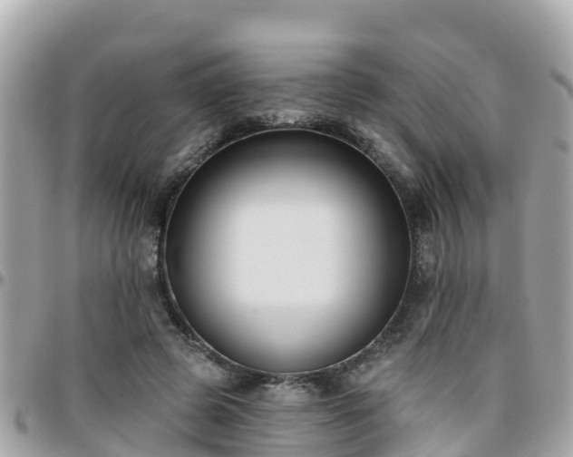 X0000096210545200801251037