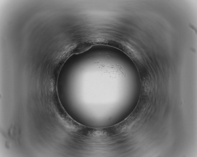 X0000096210546200801251037