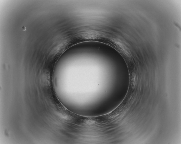 X0000096210547200801251037