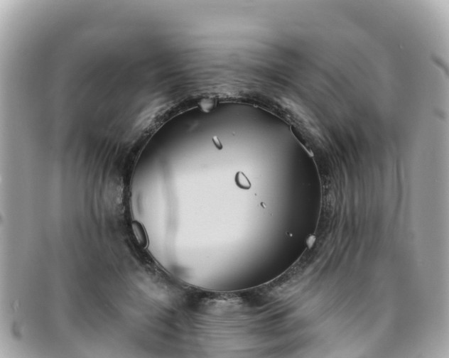 X0000096210548200801251037