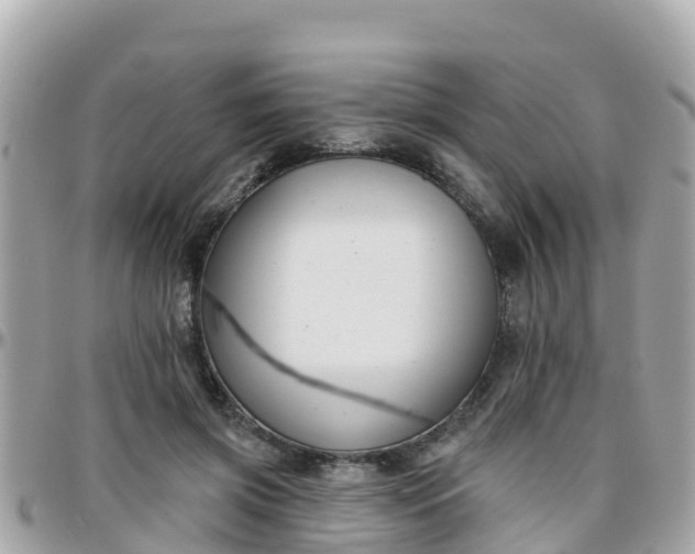 X0000096210549200801251037