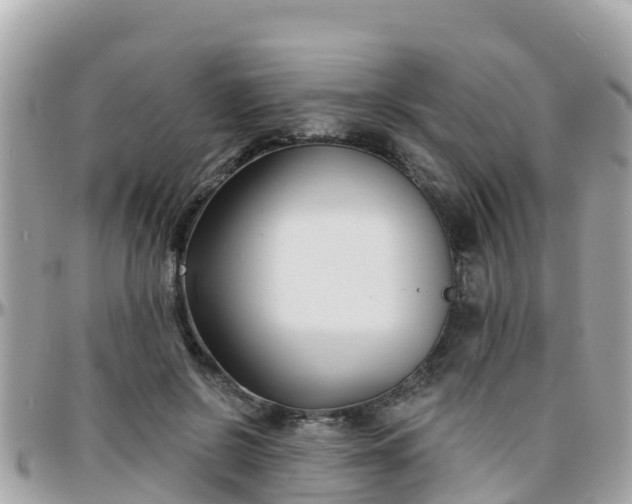 X0000096210550200801251037