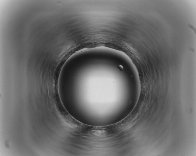 X0000096210552200801251037