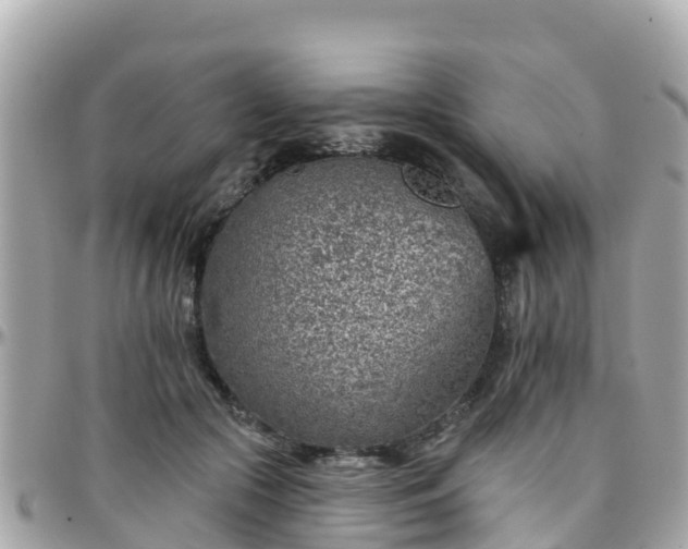 X0000096210553200801251037