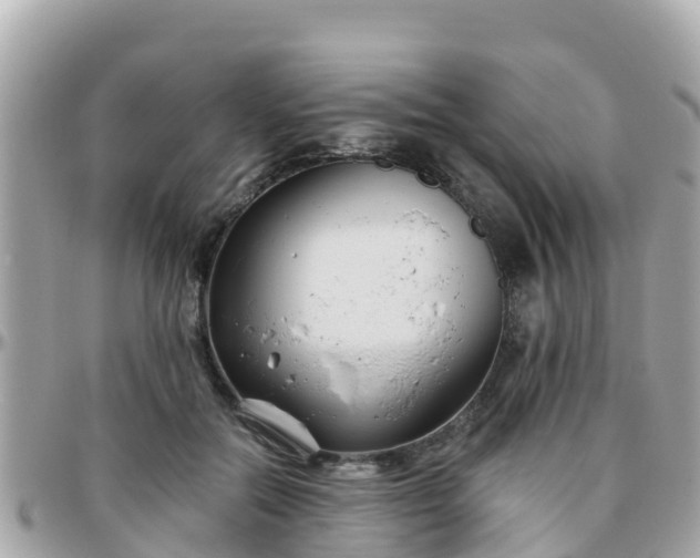 X0000096210554200801251037