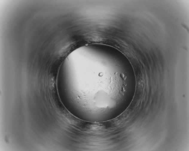 X0000096210555200801251037