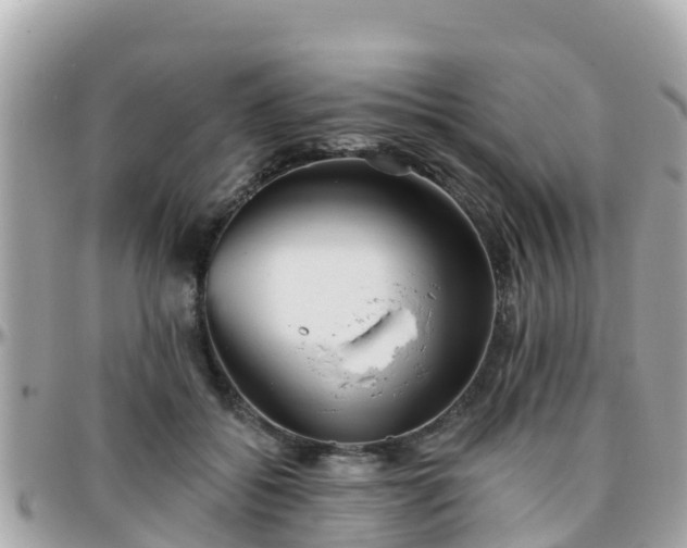 X0000096210556200801251037