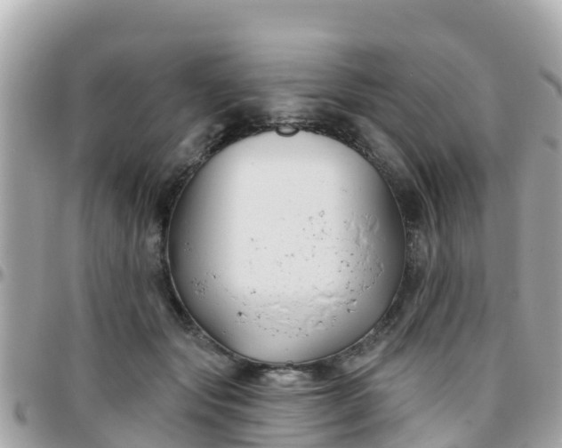 X0000096210557200801251037