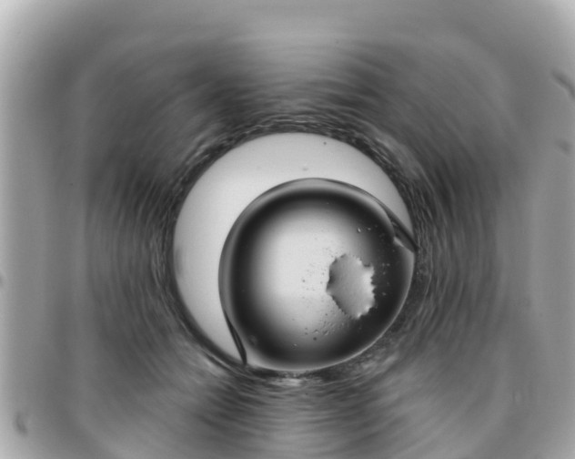 X0000096210558200801251037