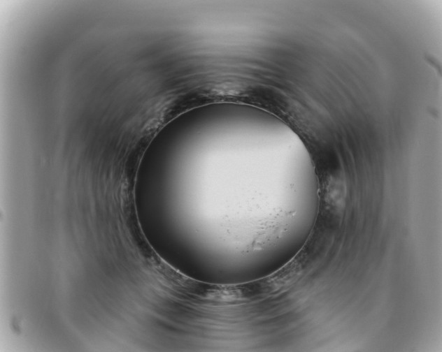 X0000096210559200801251037